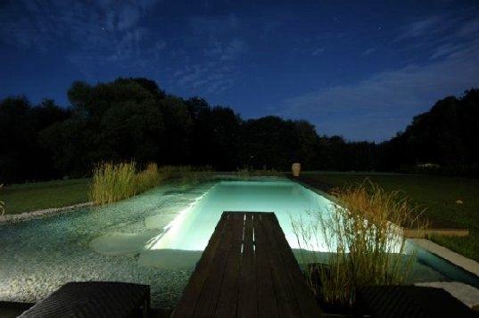 Natural Swimming Pool Design Of well Natural Swimming Pool Design For Nifty  Natural Nice | Cool Pools & Spas | Pinterest | Dream pools, Pool designs  and