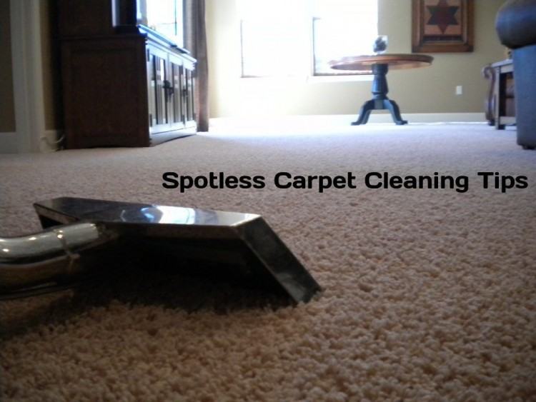 Loop pile carpets and cut  pile